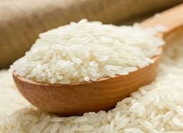 برنج حاصل تازه هاشمی عطری گیلان